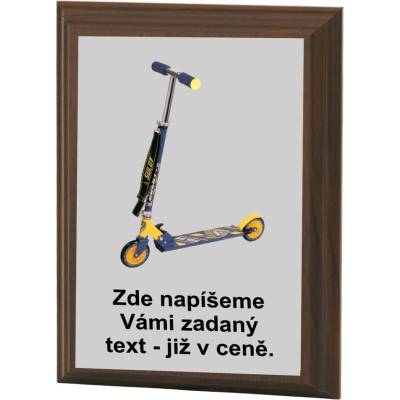VIZINGR Koloběžka plaketa H120-L413