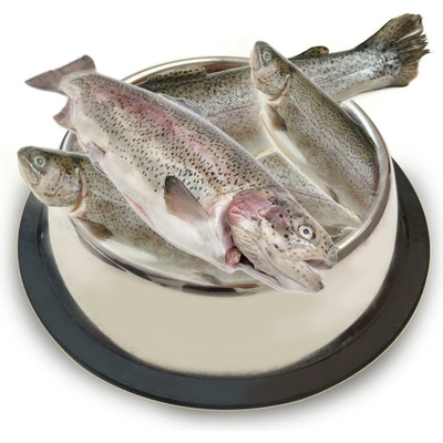 Sokol Falco Pstruh kuchaný 1 kg