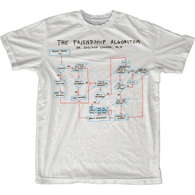 Big Bang Theory Friendship Algorithm
