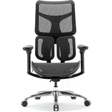 Spinergo Dual