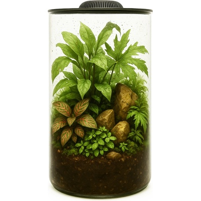 Invital MicroTerrarium 4,5 l