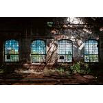 DIMEX ART Флизелинов фототапет изоставен индустриален интериор 375 x 250 см