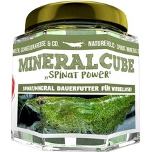 NatureHolic MineralCube Spinach Power 10 g