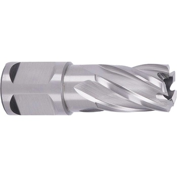 ABSE N-HS-W19-0160025