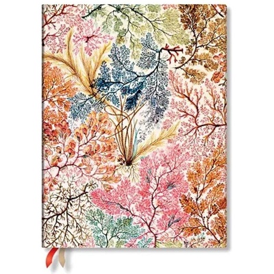 Paperblanks Бизнес планер Anemone, Ultra, мека корица, 112 л (1570181534)