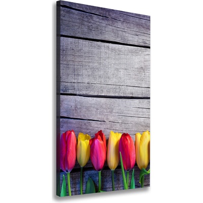 Vertikálny foto obraz na plátne Farebné tulipány 50x100 cm