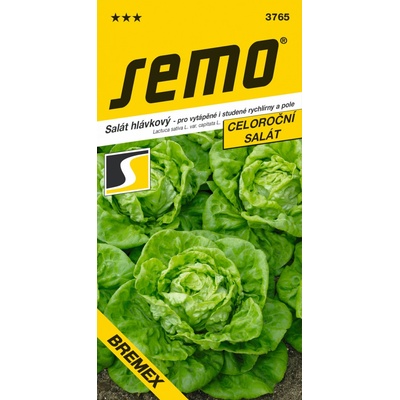 ŠALÁT HLÁVKOVÝ celoročný Bremex