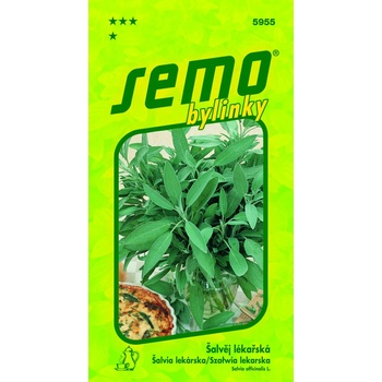 SEMO ŠALVIA LEKÁRSKA