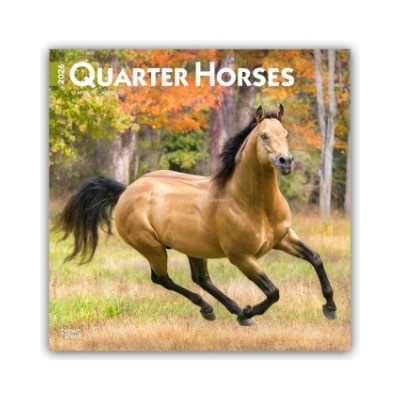 Browntrout Verlags GmbH Quarter Horses - Quarter Horse 2026 - 16-Monatskalender | BrownTrout Publishers Inc