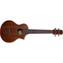 Ibanez UEWT 5