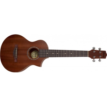 Ibanez UEWT 5