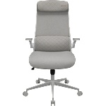 COUGAR COUGAR Stryder White Gaming Chair (CGR-STD-ASW) - tehnik