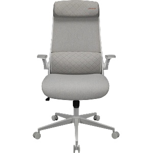COUGAR COUGAR Stryder White Gaming Chair (CGR-STD-ASW) - tehnik