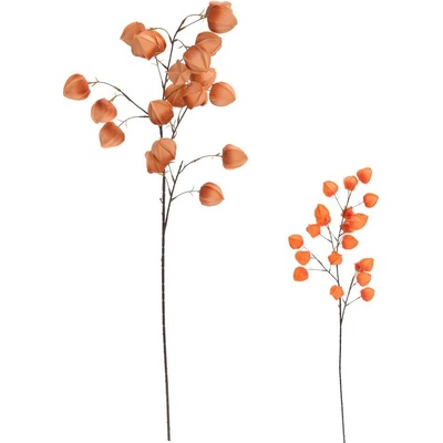 KONÁR PHYSALIS MIX/2F 98CM