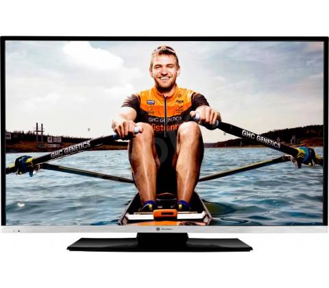 GoGEN TVF 48R384S