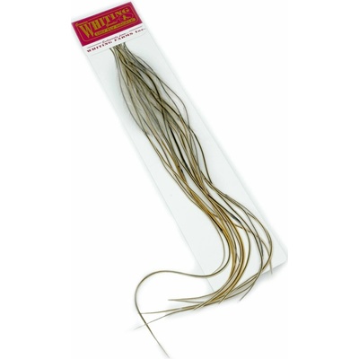 Whiting Hackles Whiting Kohoutí Peří 100 Pk Golden Badger #12