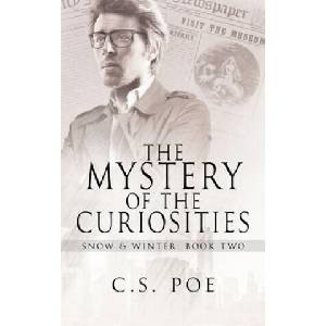 The Mystery of the Curiosities | C. S. Poe (ISBN: 9781952133022)