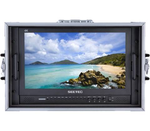 Seetec P173-9HSD-CO