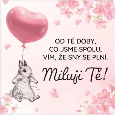 ALBI Magnetka - Děkuji