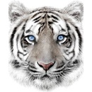 JERRY FABRICS Plyšová deka biely tyger