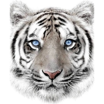 JERRY FABRICS Plyšová deka biely tyger