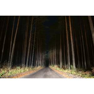 DIMEX ART Флизелинов фототапет нощен изглед към пътя 375 x 250 см