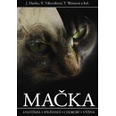 Mačka