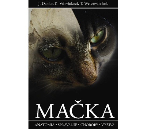 Mačka