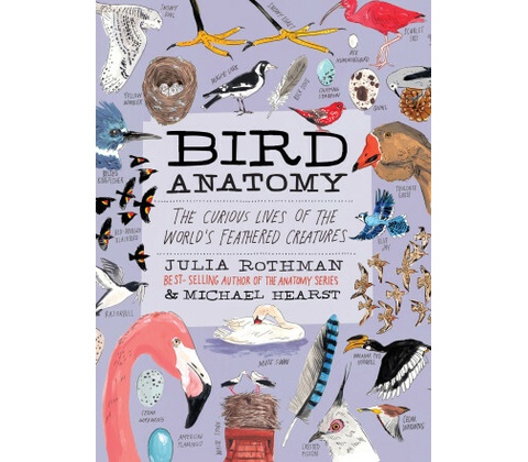 Bird Anatomy