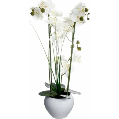 Atmosphera Orchidej v bílém květináči 53 cm
