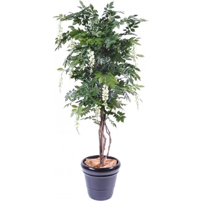 WISTERIA MULTI TREE CREAM, 180cm