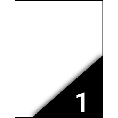 Fortuna Етикет FORTUNA 210x297mm универсален 100 етикета/кутия 100 листа/кутия 01.01308 (01.01308)