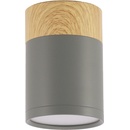 Candellux CA0405