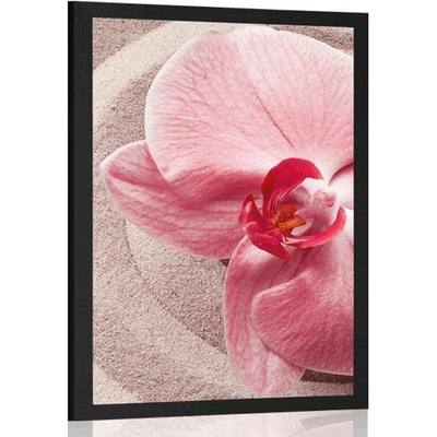 Plakát mořský písek a růžová orchidej - 40x60 no frame