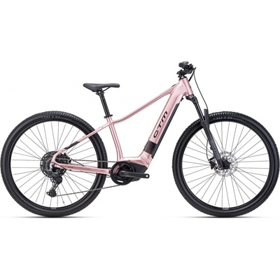 CTM Ruby GX Pro 2025