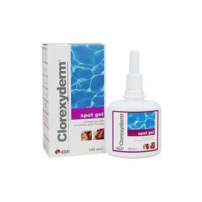 ICF Clorexyderm spot gel 100 ml