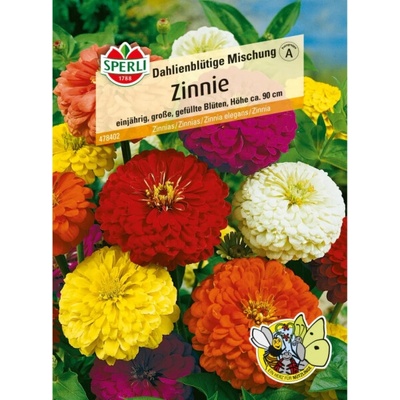 Sperli Zinnias "Dahlia-Flowered Mix" vícebarevné