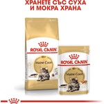  Котешка храна royal canin maine coon pouch - 0.085кг
