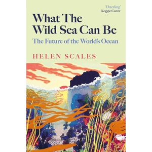 What the Wild Sea Can Be | Helen Scales (ISBN: 9781804710517)