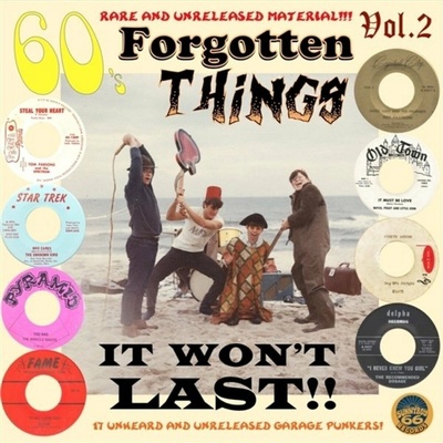 Various Artists - 60's Forgotten Things Vol. 2 - It Won't Last!! LP