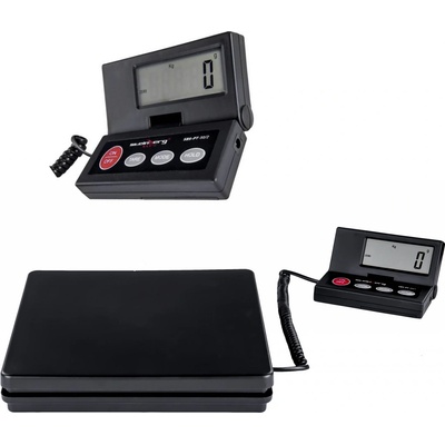 Steinberg Systems SBS PT-50/2