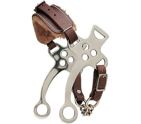 SEFTON HACKAMORE BIT SHORT