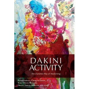 Dakini Activity | Padmasambhava, Lingpa Dechen Chokgyur (ISBN: 9780997716276)