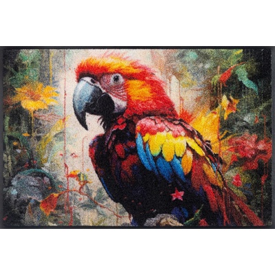 wash+dry Interiérová rohožka Parry McParrot 50 x 75 cm