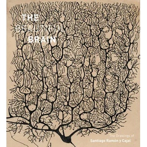 Beautiful Brain | Javier DeFelipe, Larry Swanson (ISBN: 9781419722271)