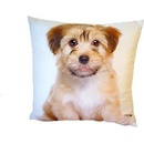 Dadka Foto vankúš Roztomilý pejsek 40x40