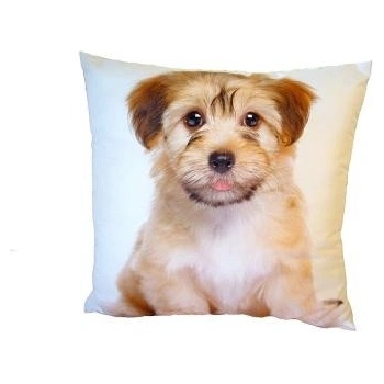 Dadka Foto vankúš Roztomilý pejsek 40x40