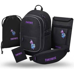Baagl 5 set core fortnite llama