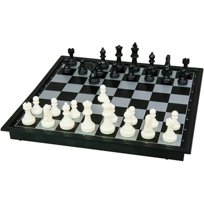 Dino Dino Magnetické šachy DI631489 – Zboží Živě