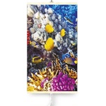 Warmcoin Coral Reef
